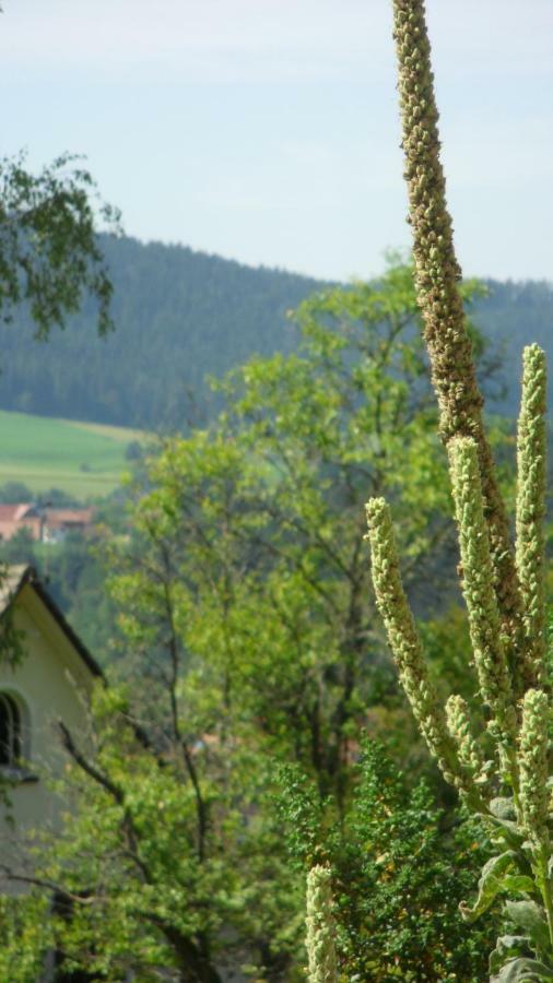 Ferienwohnung Kaufmann Baiersbronn Kültér fotó