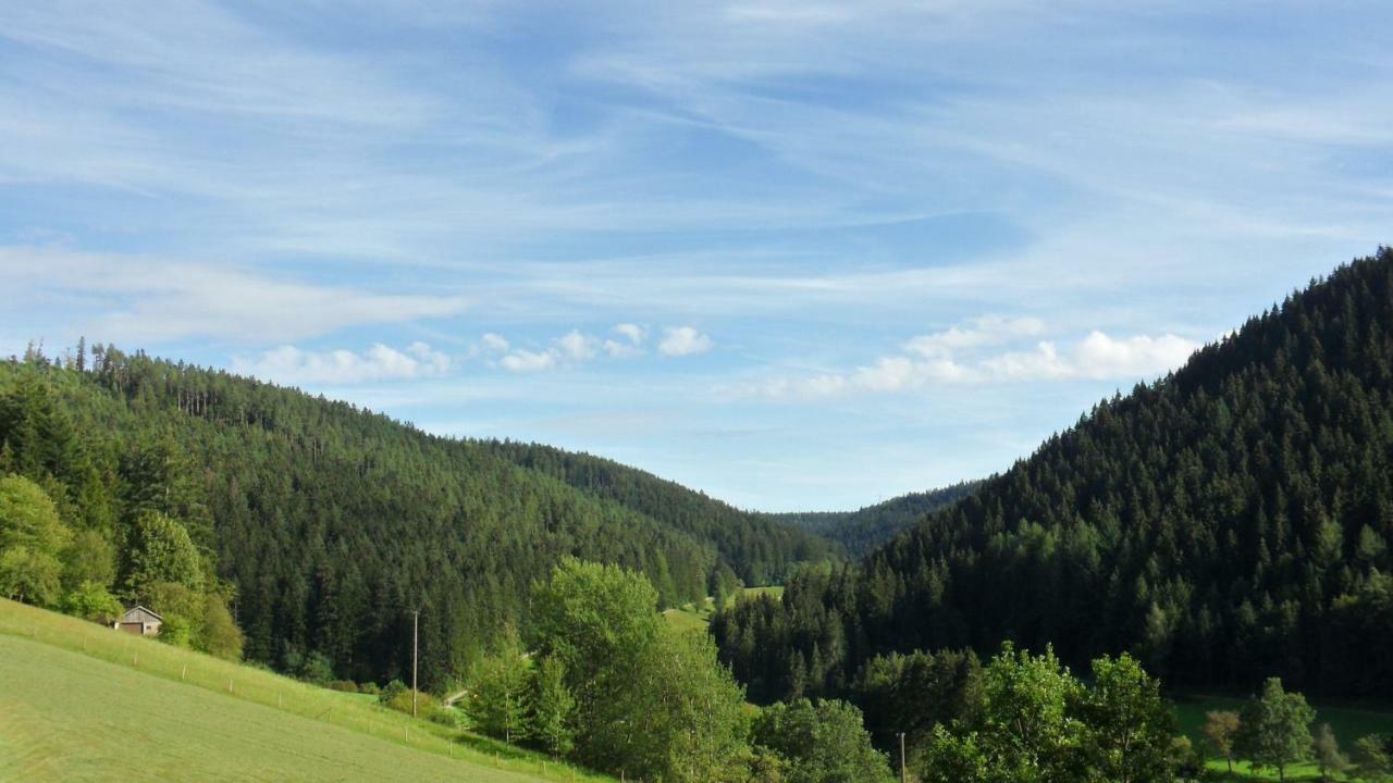 Ferienwohnung Kaufmann Baiersbronn Kültér fotó